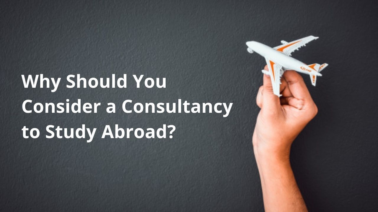 Why Should You Consider A Consultancy To Study Abroad?